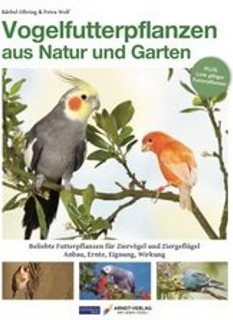 Vogelfutterpflanzen aus Natur und Garten