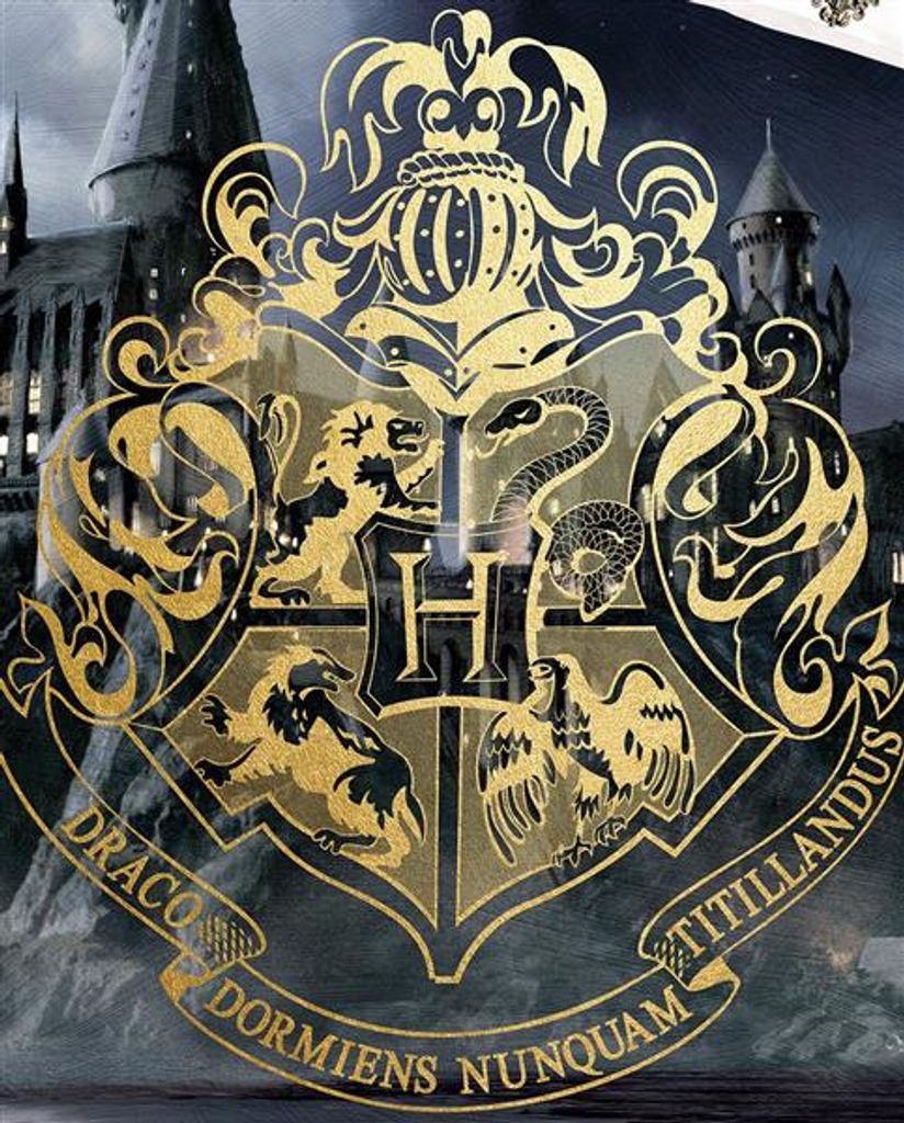 Harry Potter Bettwäsche 135 x 200 cm Produktbild 2