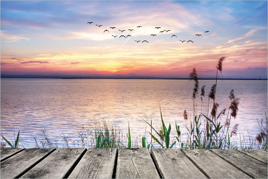 Wallario Poster - Seepanorama mit Schilf und fliegenden Vögeln, Kunstdruck Größe: 61 x 91,50 cm