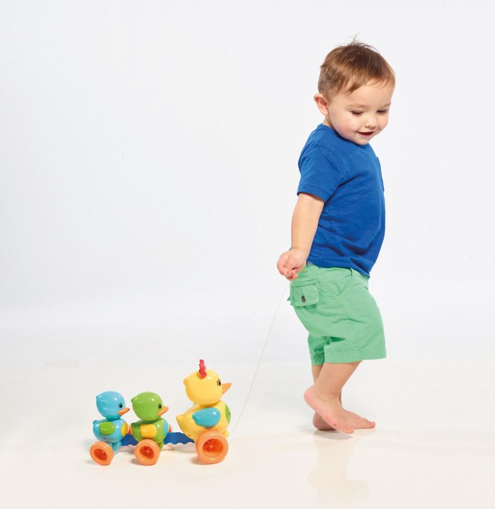 Tomy Famille de canards Image du produit 
