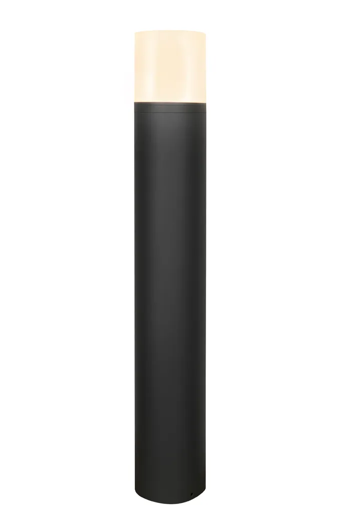 Éclairage d'allée LED 12W noir 80 cm Sedum pour entrée et terrasse