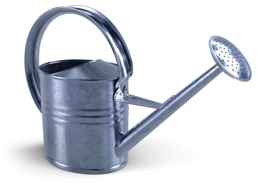 Gießkanne aus verzinktem Stahl 10 Liter für Innen und Außen