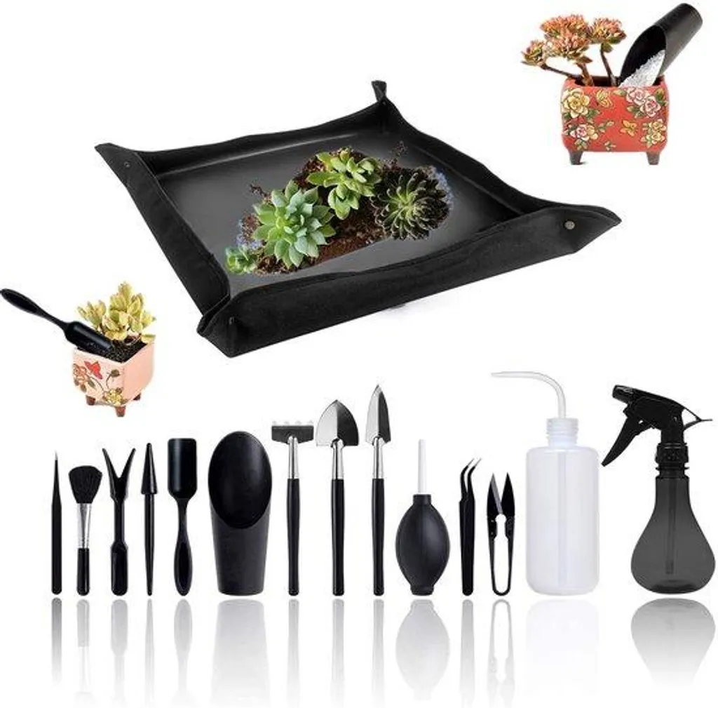 Outils de rempotage pratiques pour succulentes et plantes d'intérieur