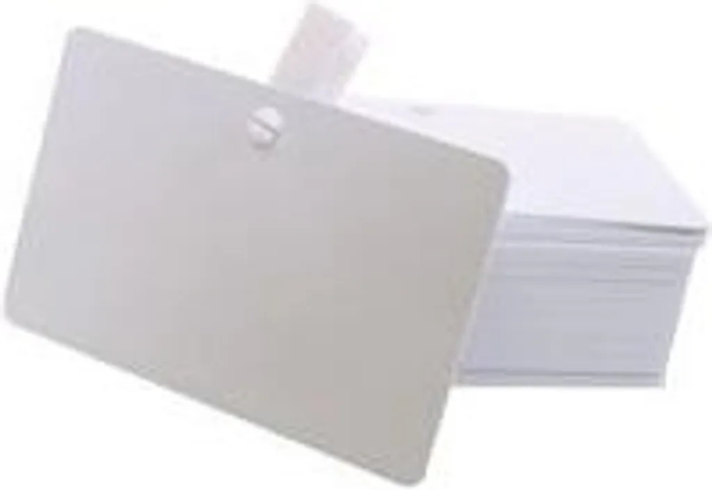 Carte PVC Evolis Preforate Foro Tondo 0.50mm - 100 Pezzi CR80
