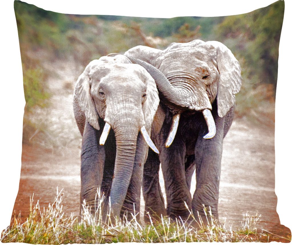 MuchoWow Zierkissen Sofakissen Wohnzimmer Dekokissen 50x50 cm Elefant - Tiere - Bäume - Natur - Komfort - Sofakissen