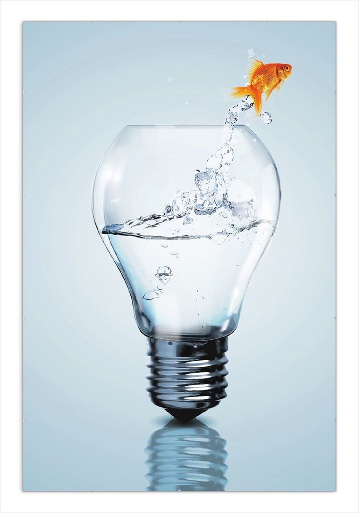 Wallario Wandbild Goldfisch springt aus Aquarium, Größe: 61 x 91,5 cm, Poster mit rahmenlosen Bildhalter