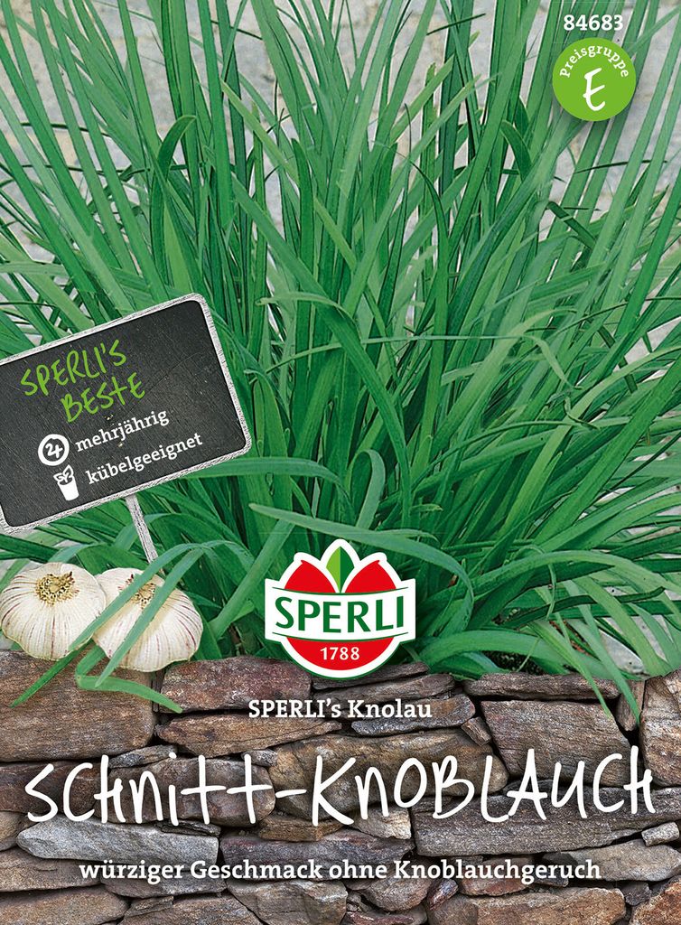 Schnitt-Knoblauch 'Sperli ́s Knolau'