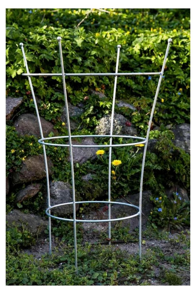 Stabiler Staudenhalter verzinkt, Höhe: 80 cm, Volleisen Strauchhalter, Rankgerüst