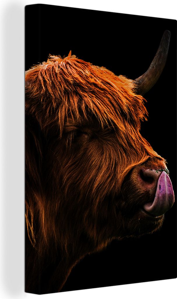 OneMillionCanvasses - Leinwandbilder - 90x140 cm, Schottisches Hochlandrind - Zunge - Nase, Wandbilder Wohnzimmer Hochland Rind - Tier Wanddekora...