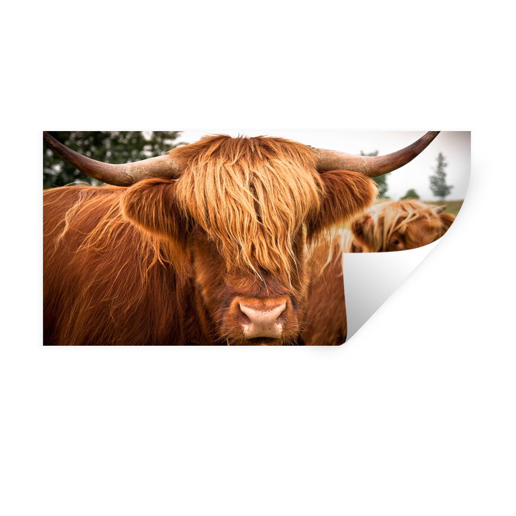 MuchoWow Wandtattoo Wandsticker Wandaufkleber Schottische Highlander - Braun - Gras 40x20 cm Selbstklebend und Repositionierbar - Aufkleber