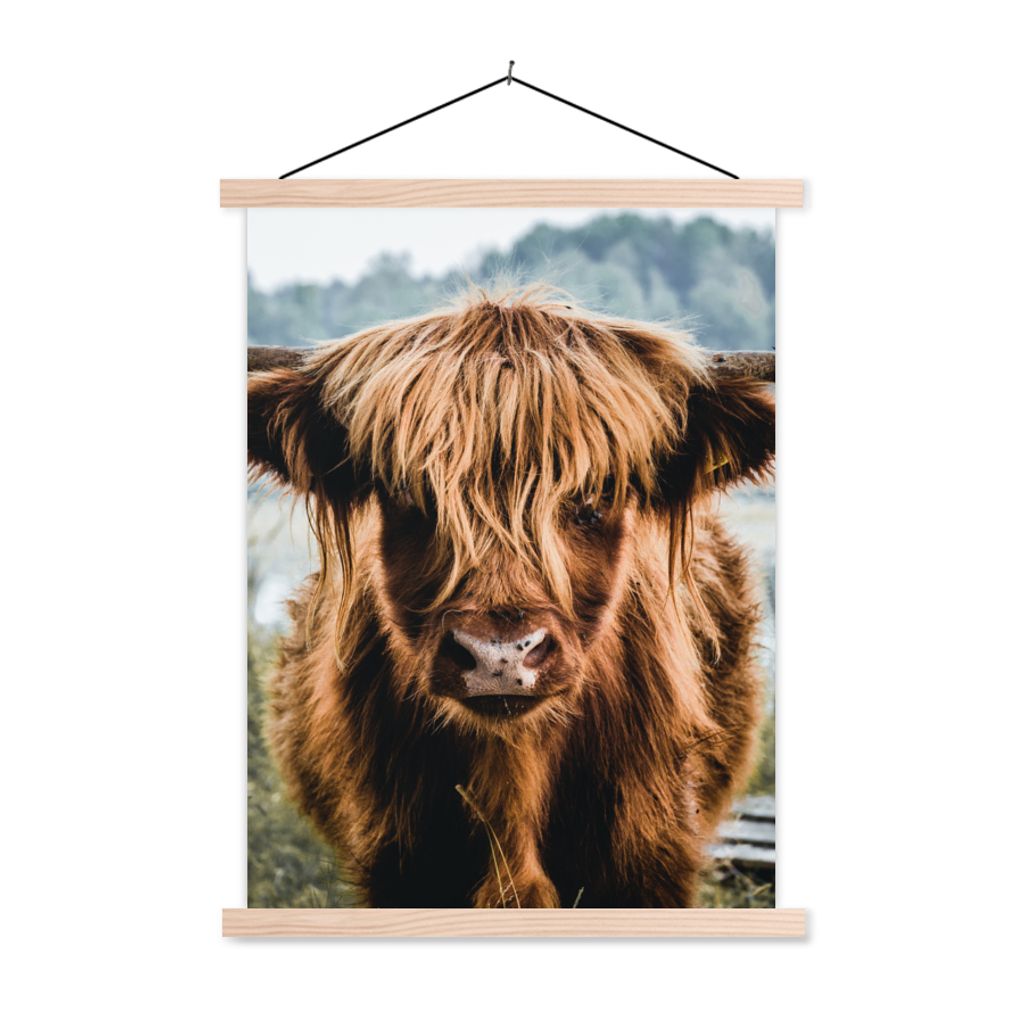 MuchoWow Textilposter Kühe - Schottische Hochlandbewohner - Braun - Natur 120x160 cm mit holzfarbenen Rahmen - Plakatkarton