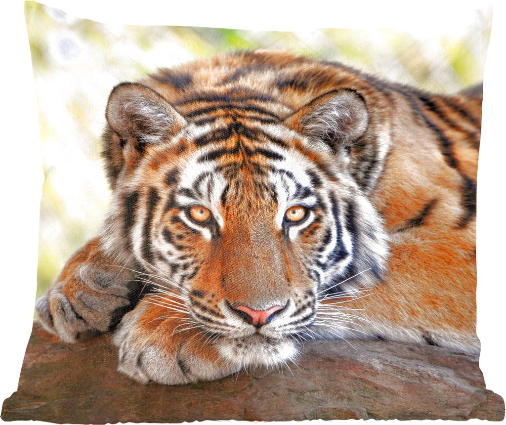MuchoWow Zierkissen Sofakissen Wohnzimmer Dekokissen 45x45 cm Tiger - Welpe - Rüssel - Schlafpolster - Polster für das Sofa