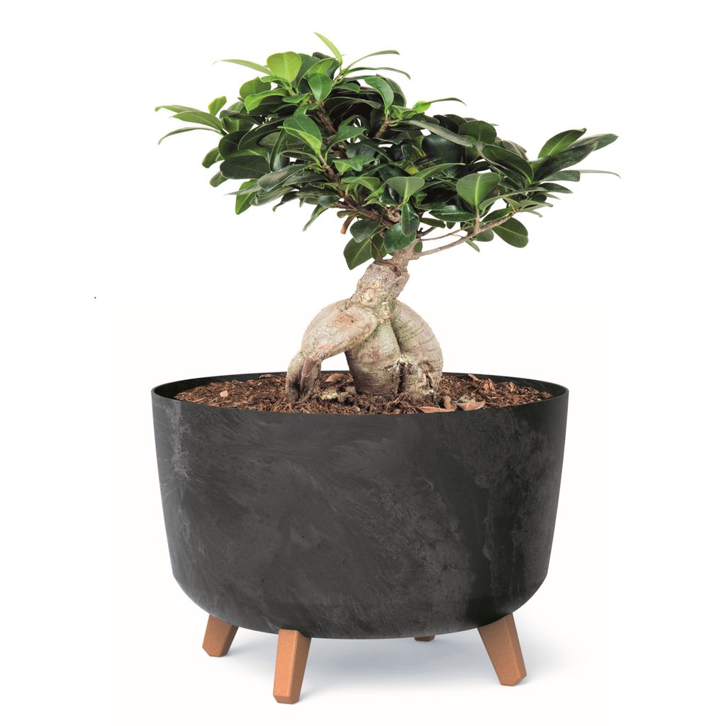 Blumentopf mit Füßen Pflanzkübel D 39 cm Anthrazit Kunststoff Töpfe mit Einsatz Beton Optik Übertöpfe Geldbaum Kakteen Gummibaum