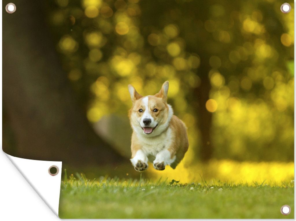 MuchoWow 40x30 cm Outdoor-Poster Gartendeko Sichtschutz Garten Poster für den Garten Enthusiastischer Corgi