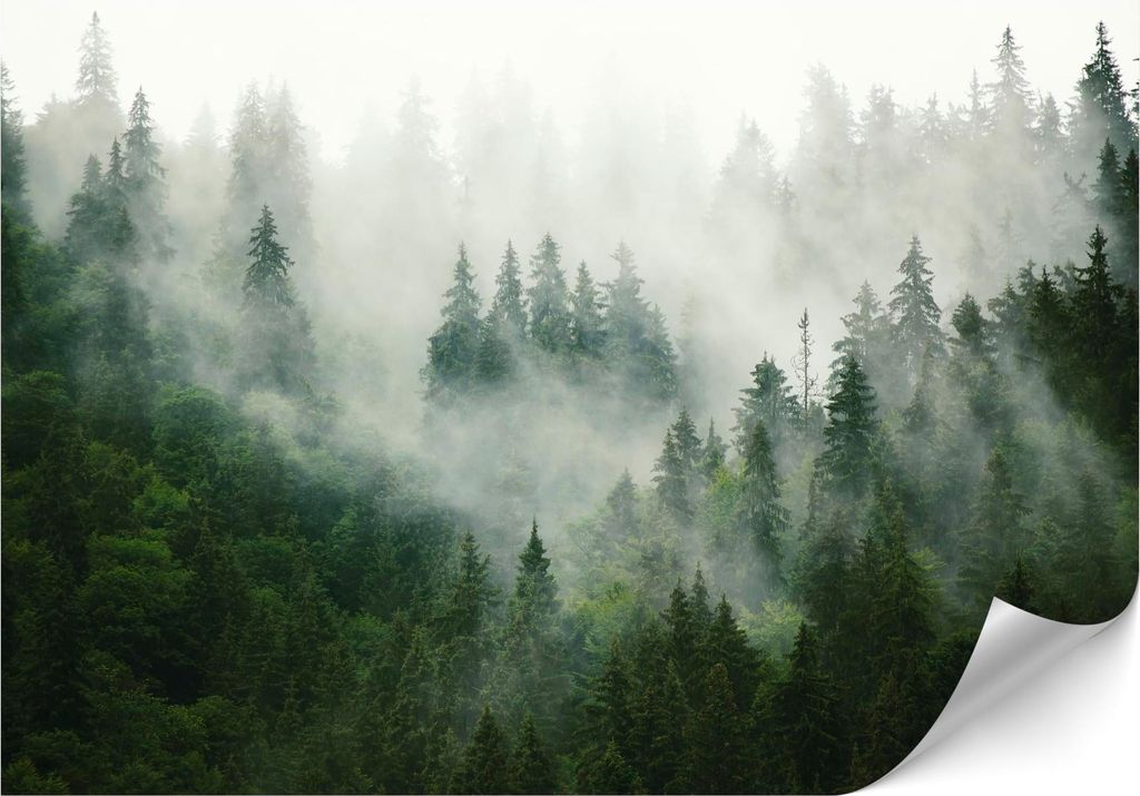 LUMASOUL Fototapete 300x210 cm, Natur, Hochwertige Bildtapete Einfach zu Montieren, Minze und Weiß