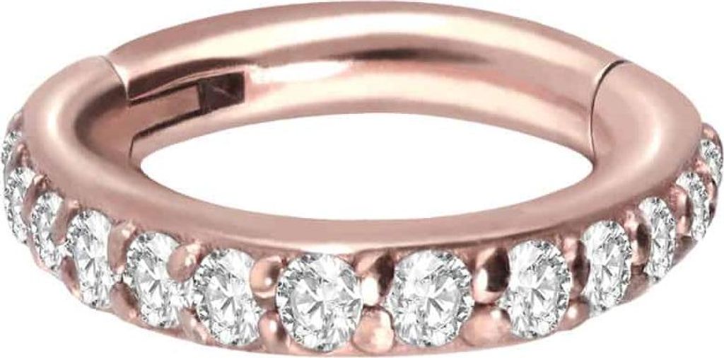 Ohrpiercing, Nasenpiercing, Septum Piercing Chirurgenstahl Segmentring Clicker EINGEFASSTE KRISTALLE RoséGold Innendurchmesser: 5mm + Stabstärke:...