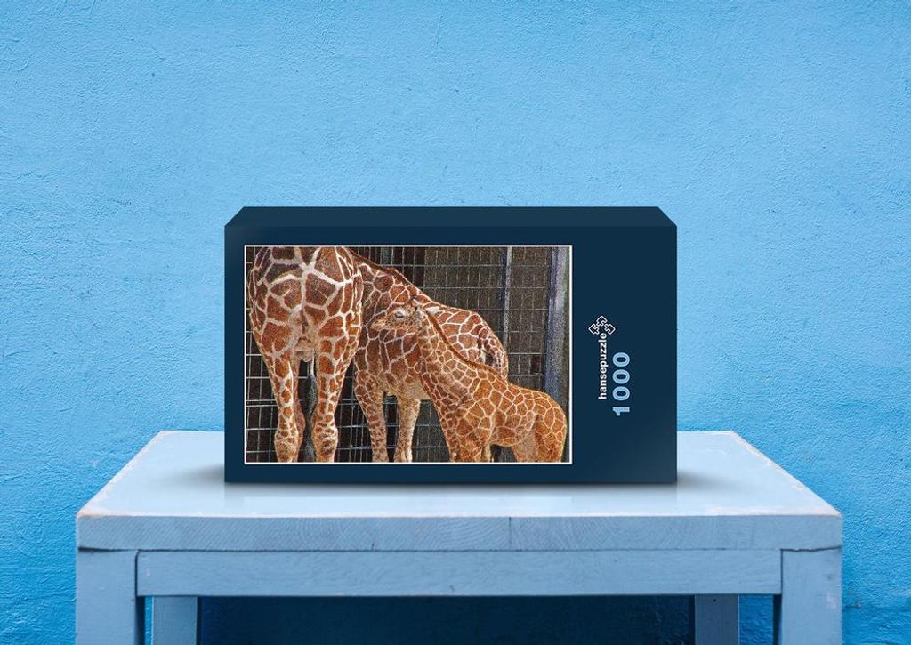 hansepuzzle 78307 - Giraffen Puzzle, 1000 Teile, Natur, 60,0 x 46,0cm mit hochwertiger Aufbewahrung, Kartonbox und wiederverschließbarem Beutel