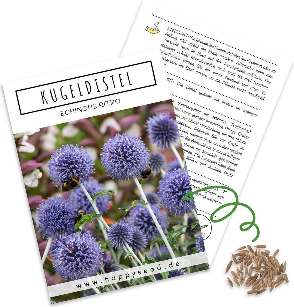 Kugeldistel Samen (Echinops ritro) - Bienenfreundliche Blumen mit blauen Blütenköpfen für eine bunte Blumenwiese, das Beet, den Balkon und die T...