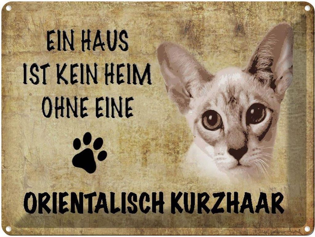 vianmo Blechschild 30x40 cm orientalisch Kurzhaar Katze