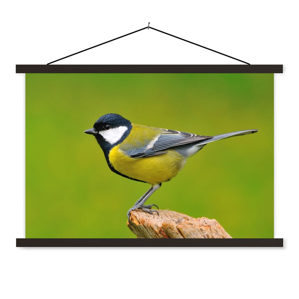 MuchoWow Textilposter Vogel - Kohlmeise - Tiere - Grün 150x100 cm mit schwarzem Rahmen - Schlafzimmer
