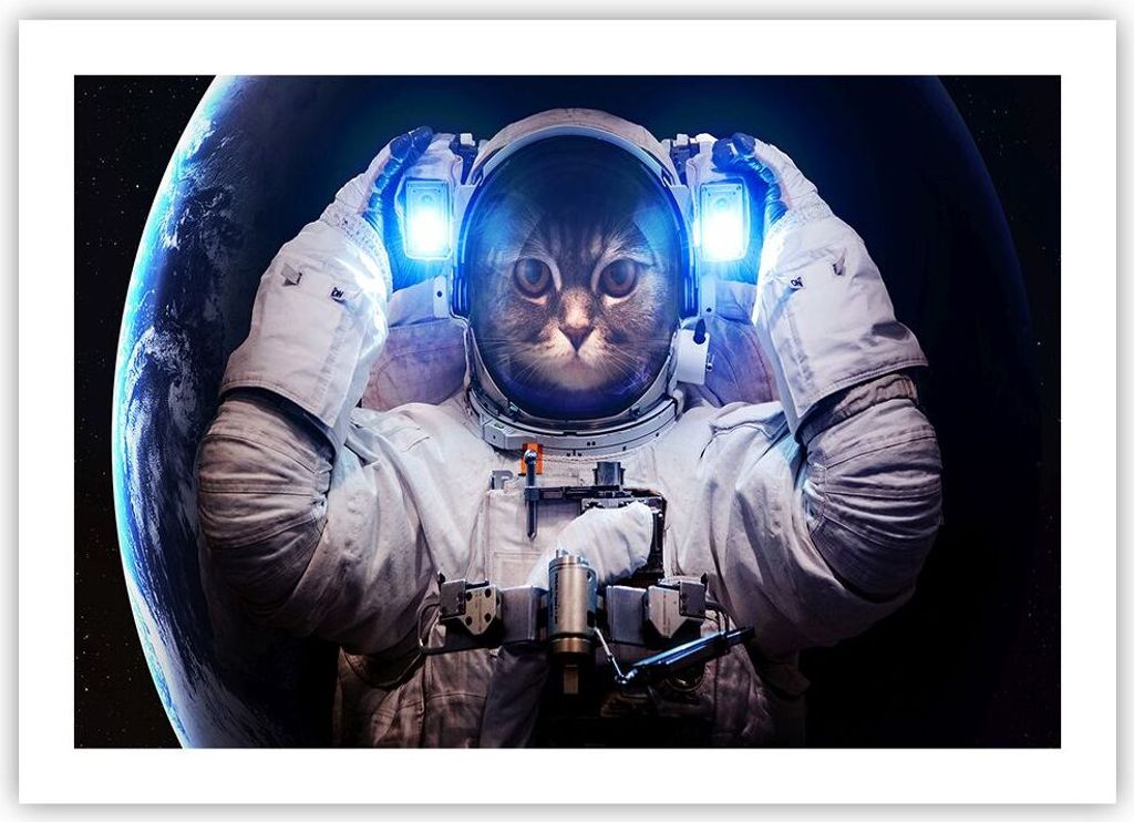 Poster - Poster ohne Rahmen - Kosmonaut Katze - 70x50 cm - Wand Bild - Wanddeko - Wandbilder - Kunstposter - Wandposter - Bilder - Kunstdruck - Wan...