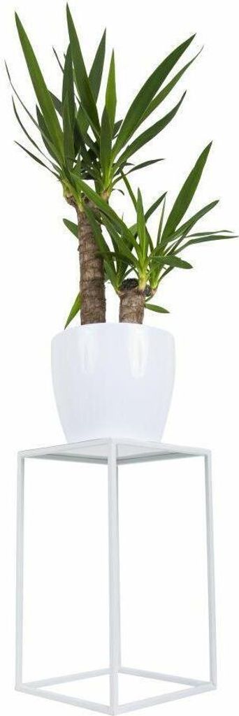 HowHomely Modern Pflanzenständer, Blumenhocker aus Metall Produktbild 6