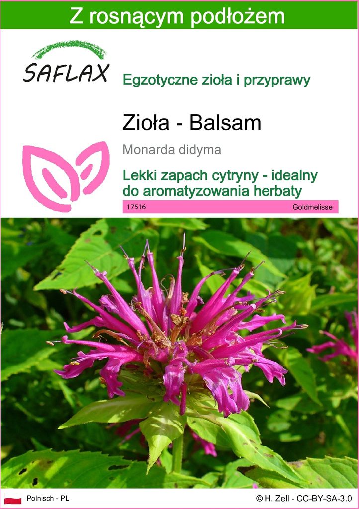 SAFLAX - Zioła - Balsam - 20 Nasiona - Z podłożem uprawowym Zdjęcie produktu 