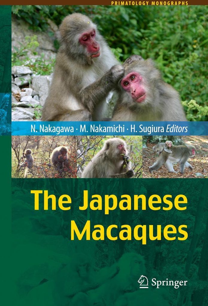 The Japanese Macaques