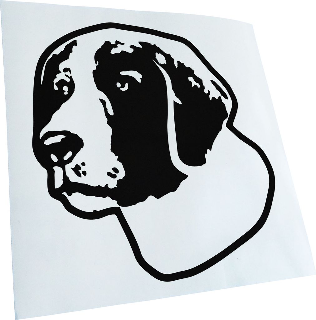 Kiwistar - Autoaufkleber - Irish red and White Setter Hund - Schwarz - 40x36cm - Aufkleber für Auto, Laptop, Fahrrad, LKW, Motorrad Mehrfarbig JDM...