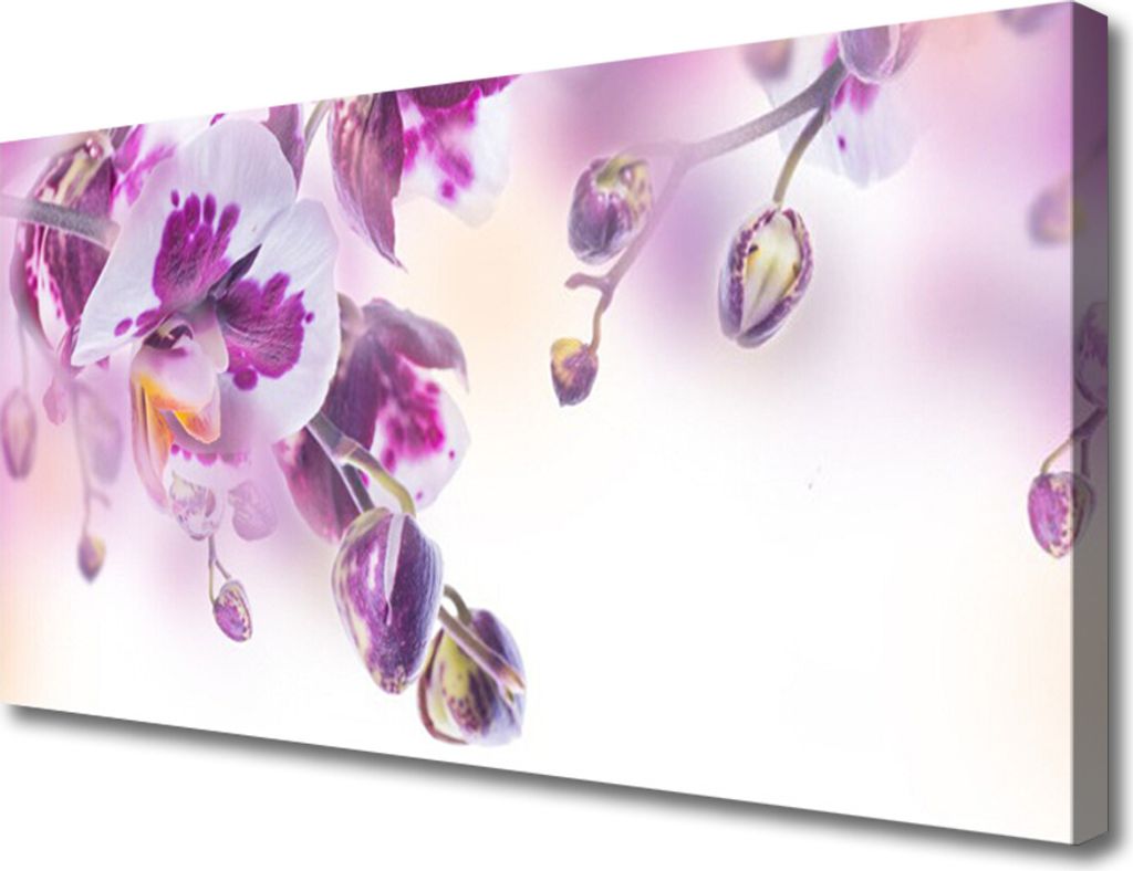 Tulup Leinwand-Bilder 100x50 Wandbild Canvas Kunstdruck Blumen Pflanzen