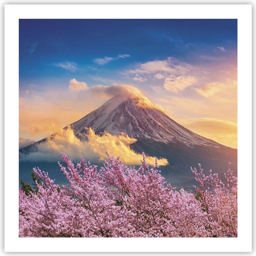 Poster - Poster ohne Rahmen - Fuji Blume Kirsche - 60x60 cm - Wand Bild - Wanddeko - Wandbilder - Kunstposter - Wandposter - Bilder - Kunstdruck - ...