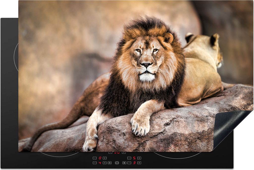 KitchenYeah Herdabdeckplatte Löwe - Felsen - Tiere , 81x52cm, Küche Deko, Ceranfeld Herdabdeckung, Abdeckplatte fùr Kochfeld