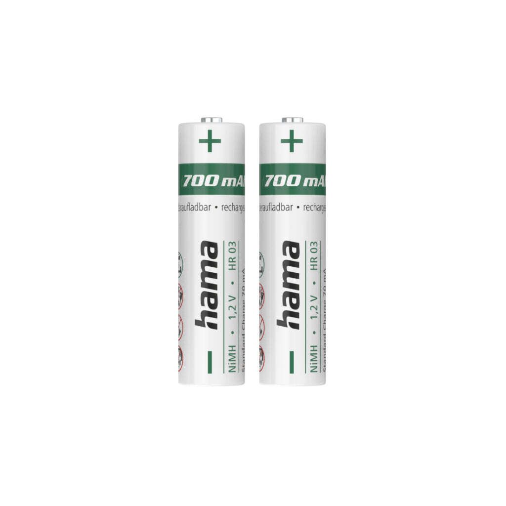 Two AAA batteries are shown side-by-side against a white background.