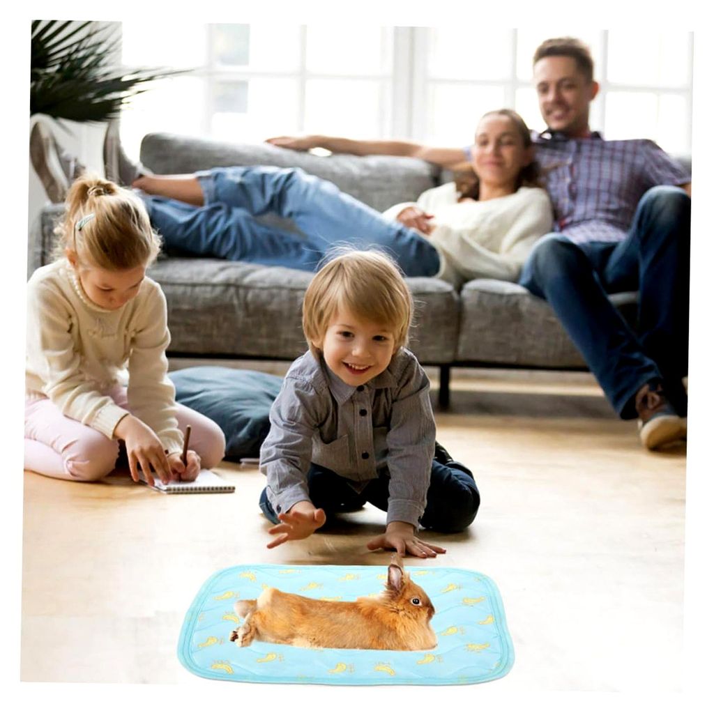 Kühlmatte für Kleintiere 2 Stück-Pack Weiche Kühlkissen aus Stoff Langlebige Schlafmatte für Hamster und Kaninchen