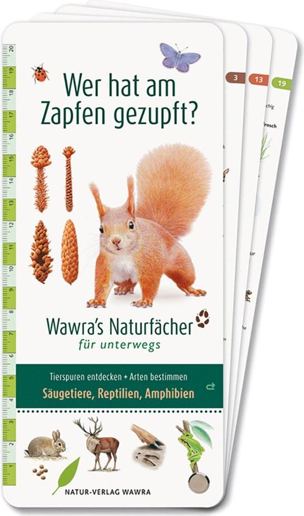 Wer hat am Zapfen gezupft? - Wawra's Naturfächer für unterwegs