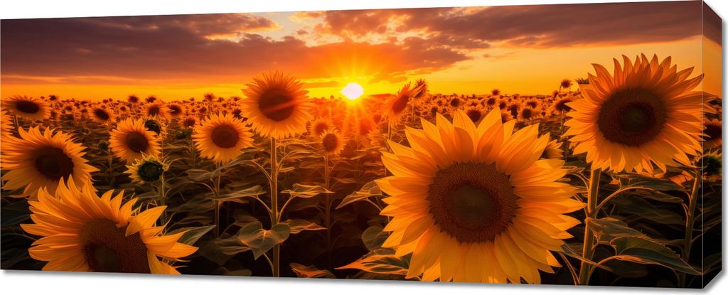Bild 100x40cm Goldene Stunde