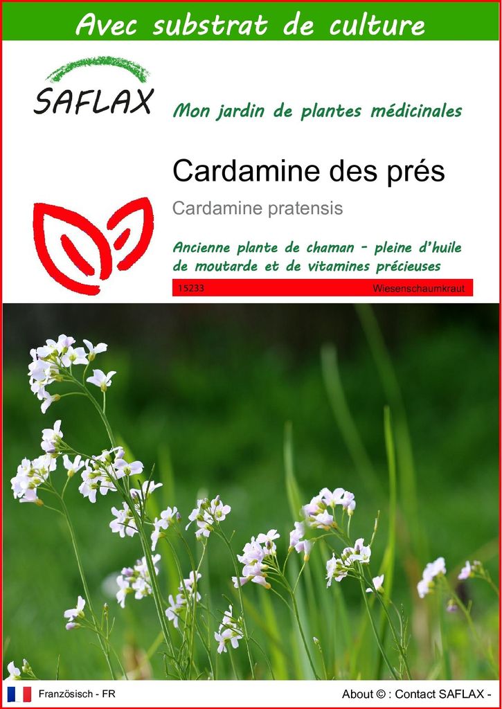SAFLAX  - Cardamine des prés - 100 graines - Avec substrat Image du produit 