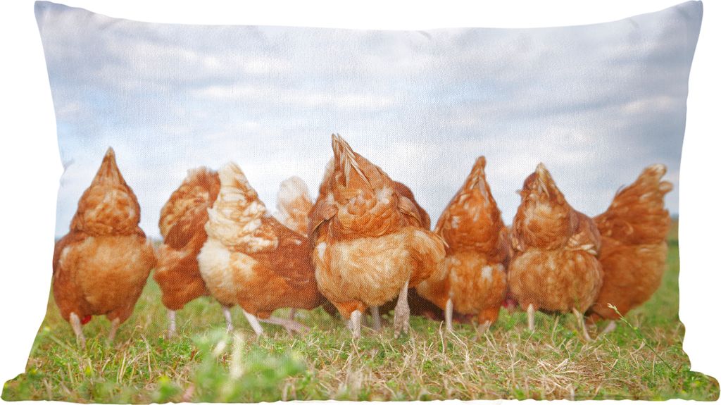 MuchoWow Zierkissen Sofakissen Wohnzimmer Dekokissen 60x40 cm Hühner auf dem Feld - Kopfkissen - Polster mit Foto