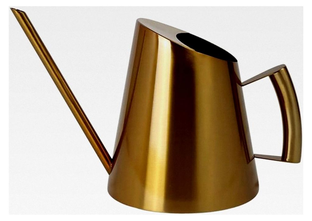 Edelstahl-Gießkanne, Metallgießkanne Klein 1500ML, Gebürsteter Langer Auslauf für Zimmerpflanzen und Garten