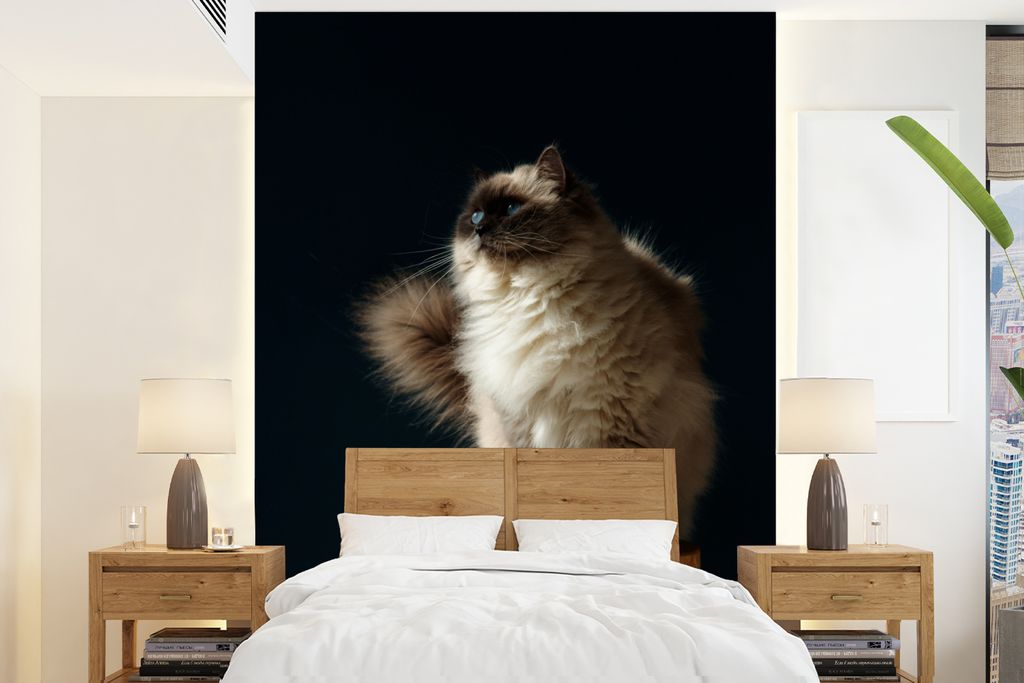 MuchoWow Fototapete für Wohnzimmer oder Schlafzimmer Wandtapete Vinyl Motivtapete Eine Ragdoll-Katze sitzt auf einer Stange - 165x220 cm - Wandd...