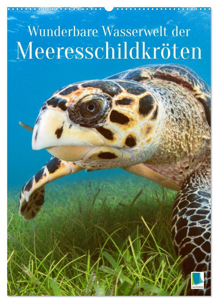 Wunderbare Wasserwelt der Meeresschildkröten (Wandkalender 2027 DIN A2 hoch), CALVENDO Monatskalender