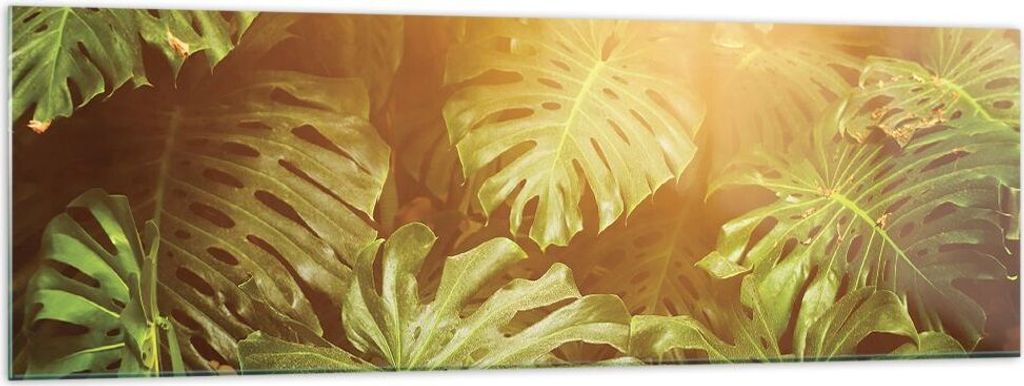 Bilder auf glas - Einteilig - Blätter Monstera Licht - 160x50cm - Glasbilder - Wandbilder - Bilder - zum Aufhängen bereit - Wanddekoration aus Gl...