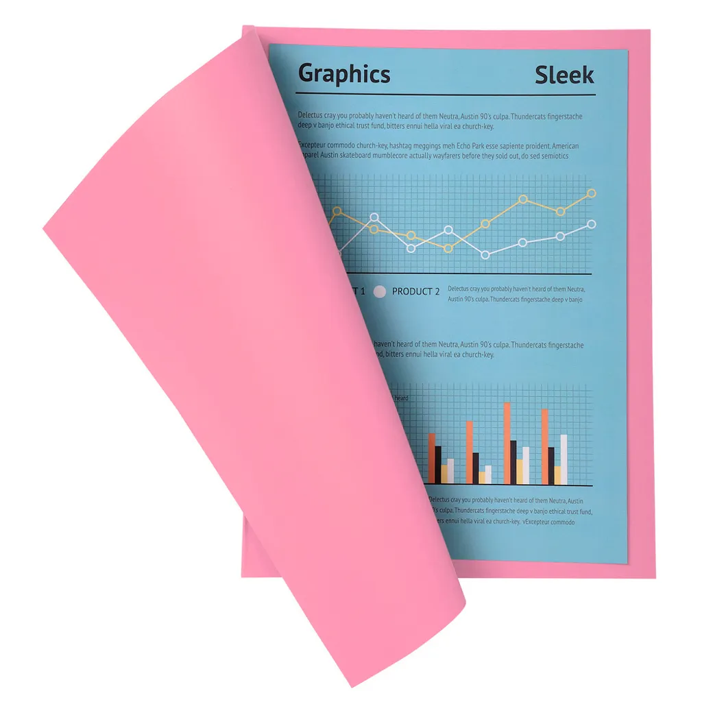 Dossiers de Classement Rose 24x32 Exacompta pour Archives Bureau - 3