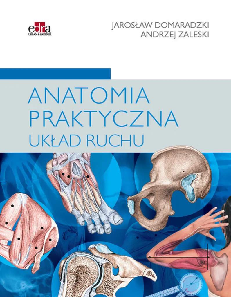 Anatomie pratique de l'appareil locomoteur Zaleski Domaradzki Polonais