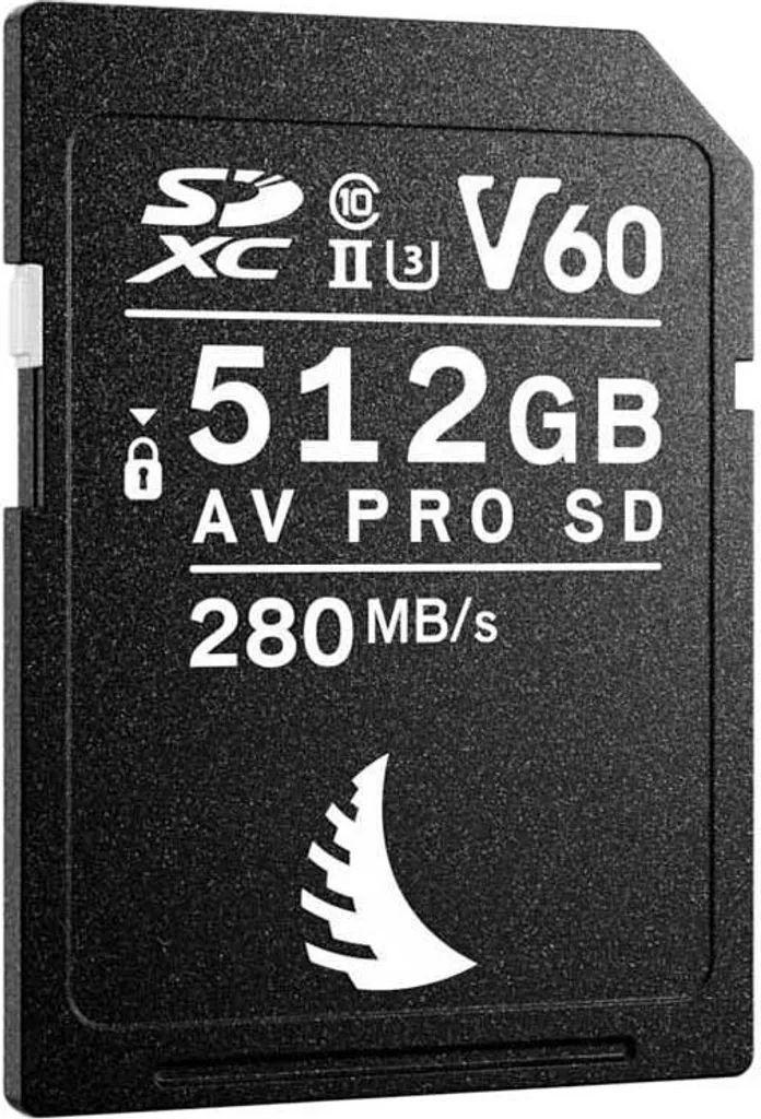 Carte Mémoire SDXC 512 Go pour Enregistrement Vidéo 4K et Photo