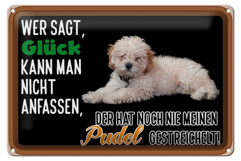 Blechschild Spruch 30x20cm Glück nicht anfassen Pudel Hund