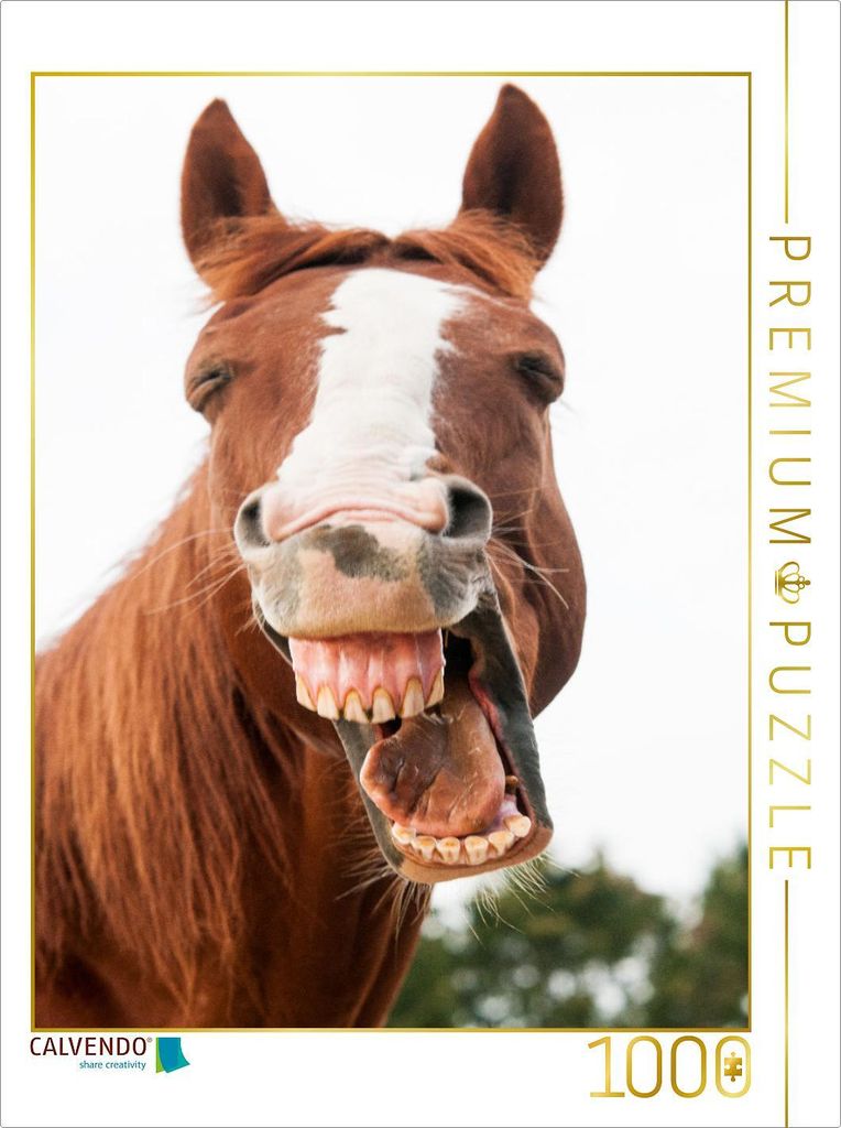 CALVENDO Puzzle Lachendes Warmblut | 1000 Teile Lege-Größe 64x48cm Foto-Puzzle für glückliche Stunden