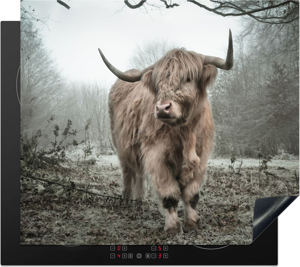 KitchenYeah Herdabdeckplatte Schottischer Highlander - Wald - Nebel - Kuh - Tiere - Natur , 59x51cm, Küche Deko, Glaskeramikfeld Herdabdeckung, ...
