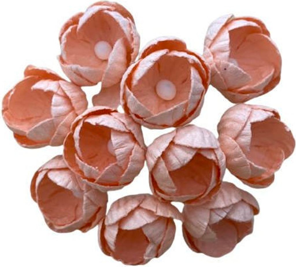 BUTTERBLUME Blumen 25mm 50Stk. Scrapbooking Maulbeerpapier, pfirsich