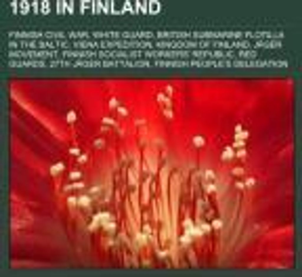 1918 in Finland
